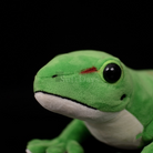 Realistic Madagascar Giant Day Gecko Plush Toy – Soft, Adorable, and Perfect for Reptile Lovers