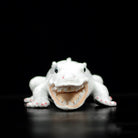 Lifelike Albino Alligator Plush Toy – Soft, Unique, and Perfect for Reptile Fans