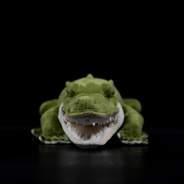 Front view of a realistic alligator plush toy, featuring sharp teeth and a soft green body