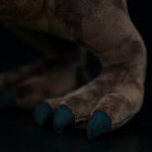 Detailed view of Carnotaurus Dinosaur Plush Toy's claws with lifelike design