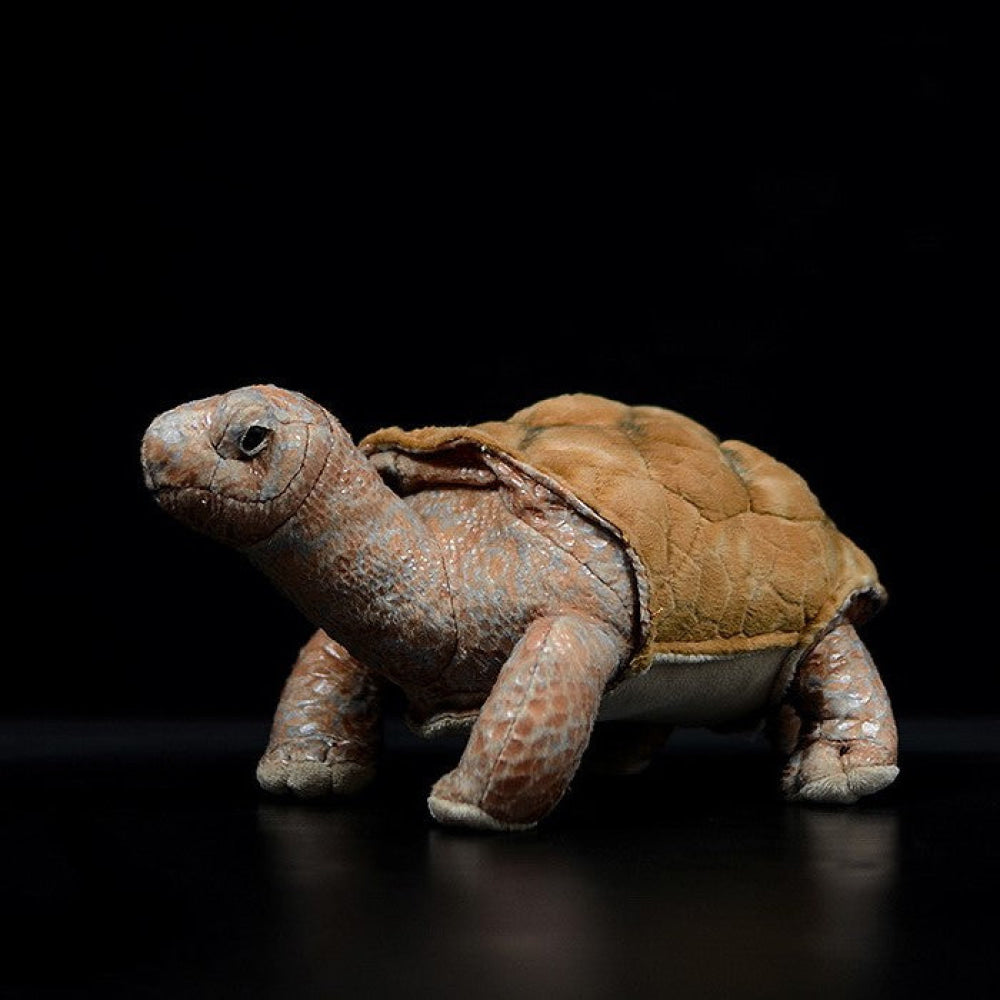 Lifelike Galápagos giant tortoise Plush Toy – Soft and Realistic