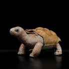 Lifelike Galápagos giant tortoise Plush Toy – Soft and Realistic