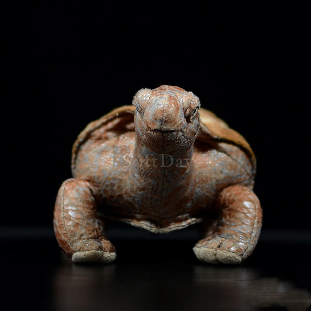 Lifelike Galápagos giant tortoise Plush Toy – Soft and Realistic