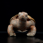 Lifelike Galápagos giant tortoise Plush Toy – Soft and Realistic