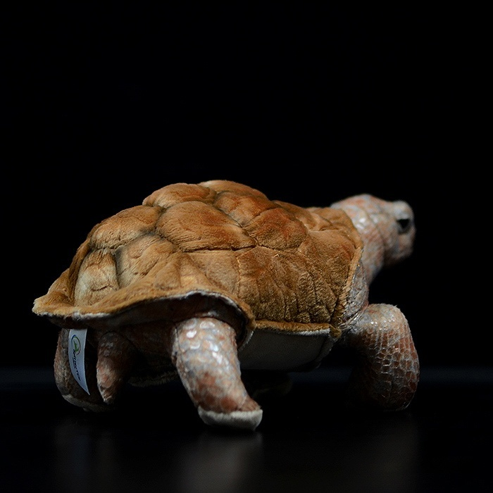 Back view of Galápagos tortoise stuffed animal, highlighting durable stitching and plush shell
