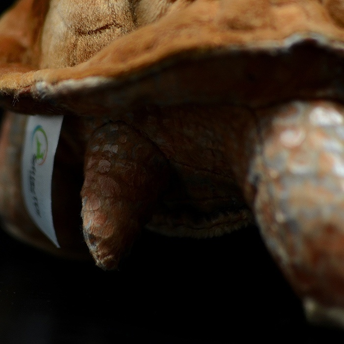 Detailed leg of Pinta Island Galápagos tortoise plush, showing textured fabric and soft material craftsmanship