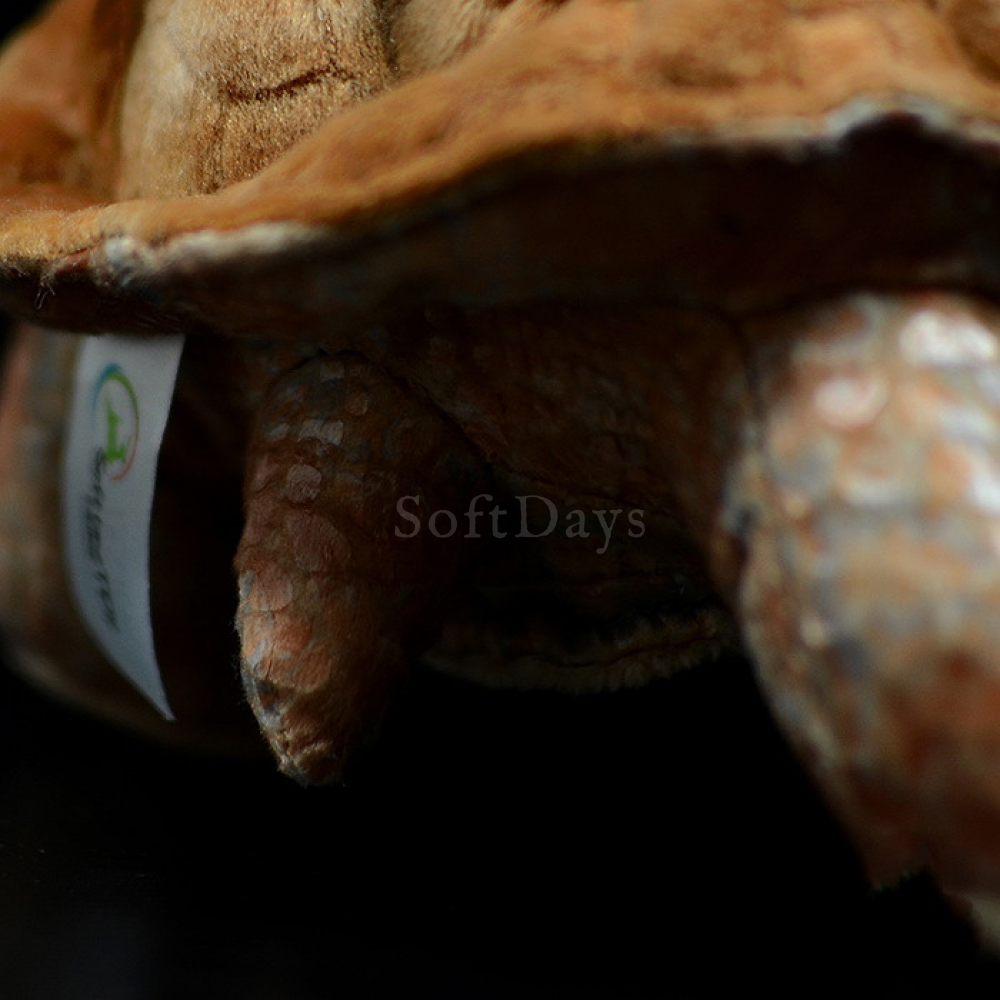 Lifelike Galápagos giant tortoise Plush Toy – Soft and Realistic