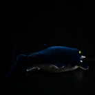 Himalayasaurus Ichthyosaur Soft Plush Toy – Perfect for Marine Reptile Lovers