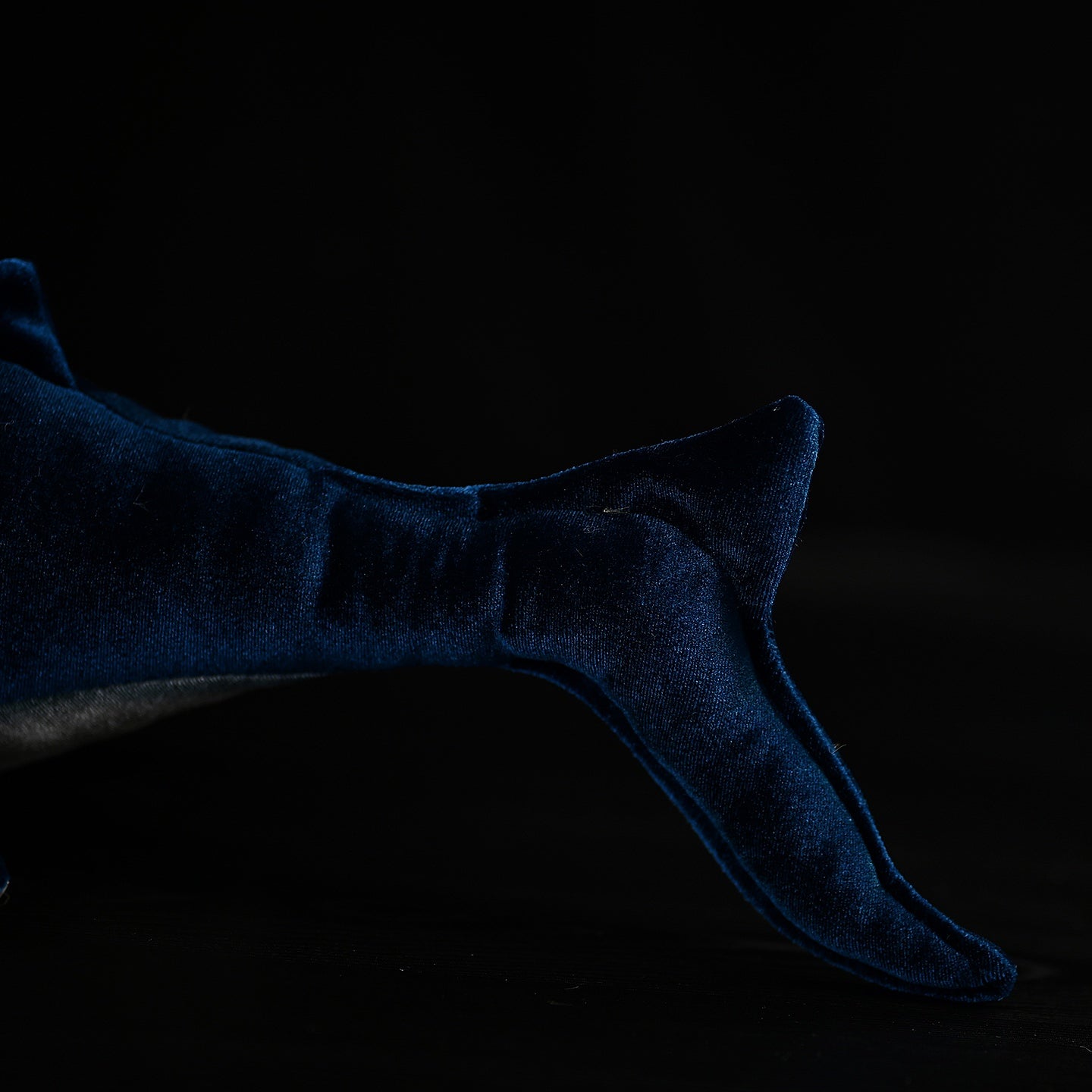 Himalayasaurus Ichthyosaur Soft Plush Toy – Perfect for Marine Reptile Lovers