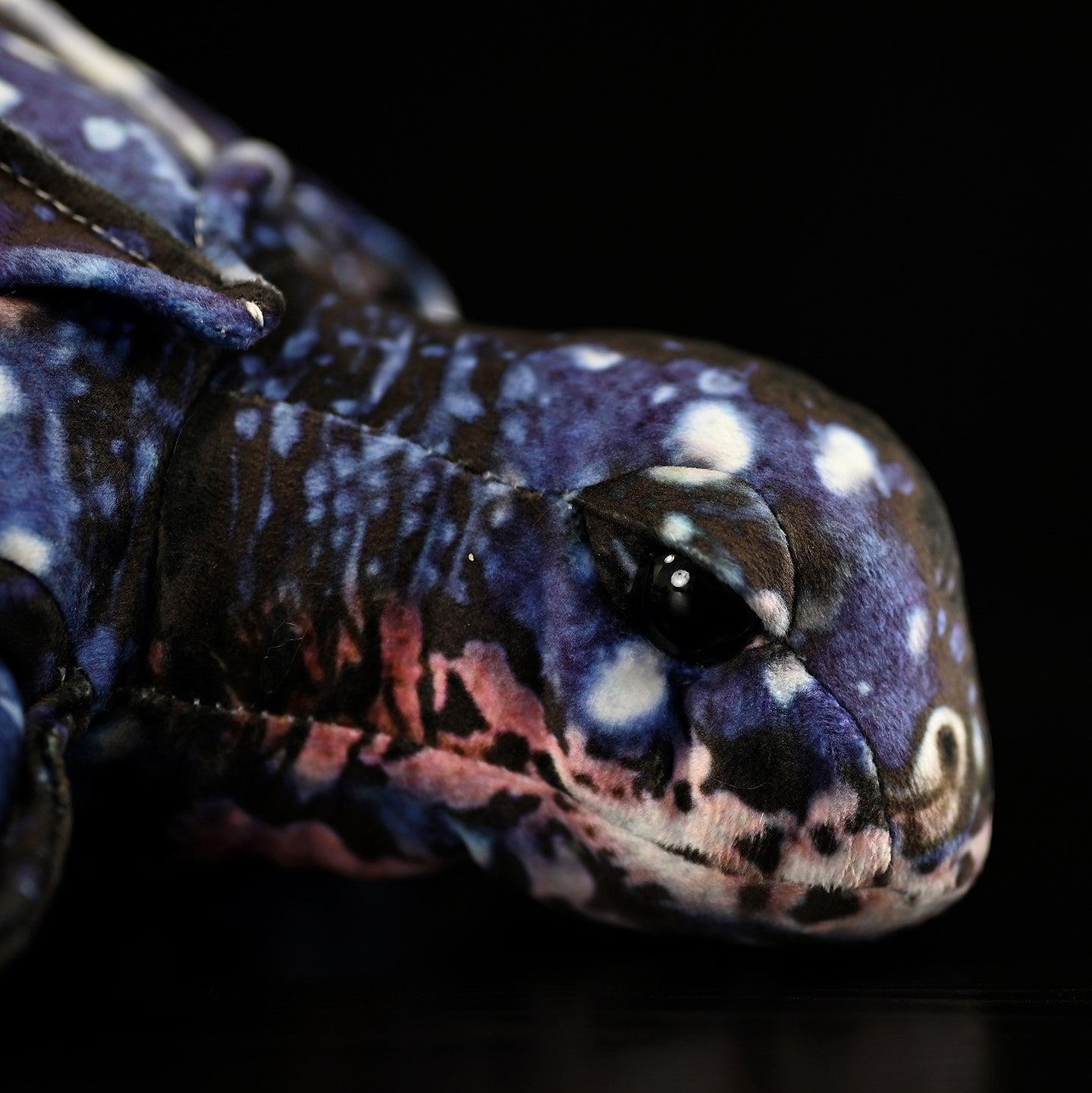 Close-up of leatherback sea turtle plush face, showing vivid details and expressive eyes