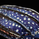 Detailed view of the leatherback sea turtle plush shell with lifelike spots and textures