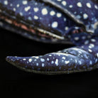 Close-up of leatherback sea turtle plush flipper, showcasing fine details and realistic craftsmanship