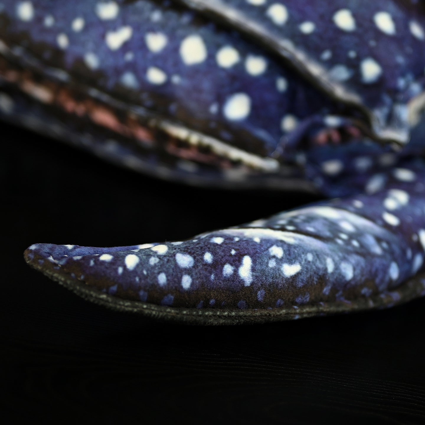 Close-up of leatherback sea turtle plush flipper, showcasing fine details and realistic craftsmanship