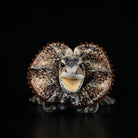 Front view of a frilled lizard plush with its vibrant frill fully displayed, capturing its iconic design