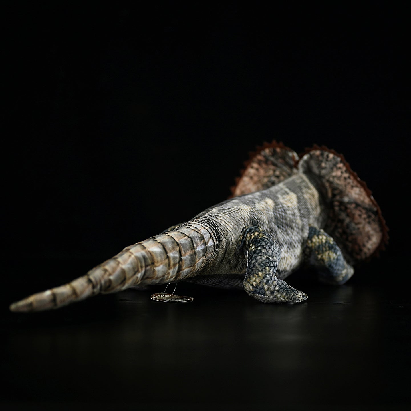 Back view of a frilled lizard plush, highlighting its textured tail and lifelike frill design