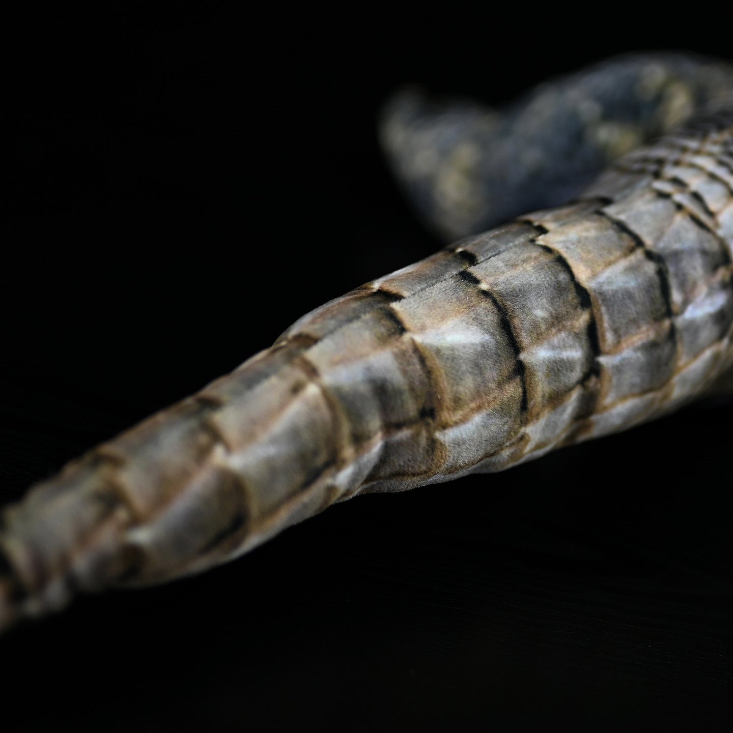 Close-up of a realistic frilled lizard plush tail, showcasing lifelike texture and detailed patterns