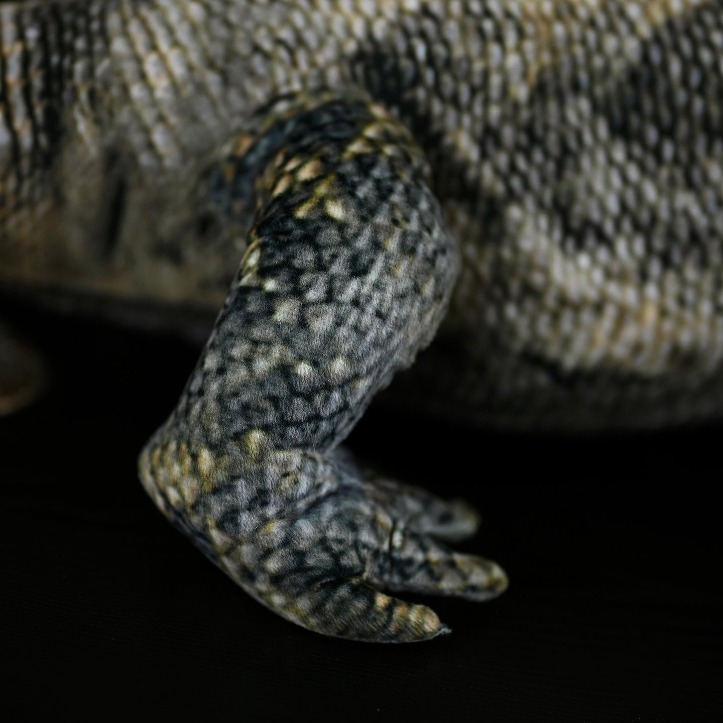 Close-up of a frilled lizard plush leg, highlighting its detailed scales and lifelike craftsmanship