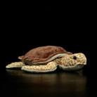 Realistic Hawksbill sea turtle plush toy with lifelike patterns and soft texture on a dark background