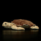 Side profile of a soft and realistic Hawksbill sea turtle stuffed animal with intricate shell details
