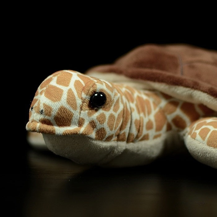 Close-up of a Hawksbill sea turtle plush toy’s face, showcasing its realistic eyes and patterned head