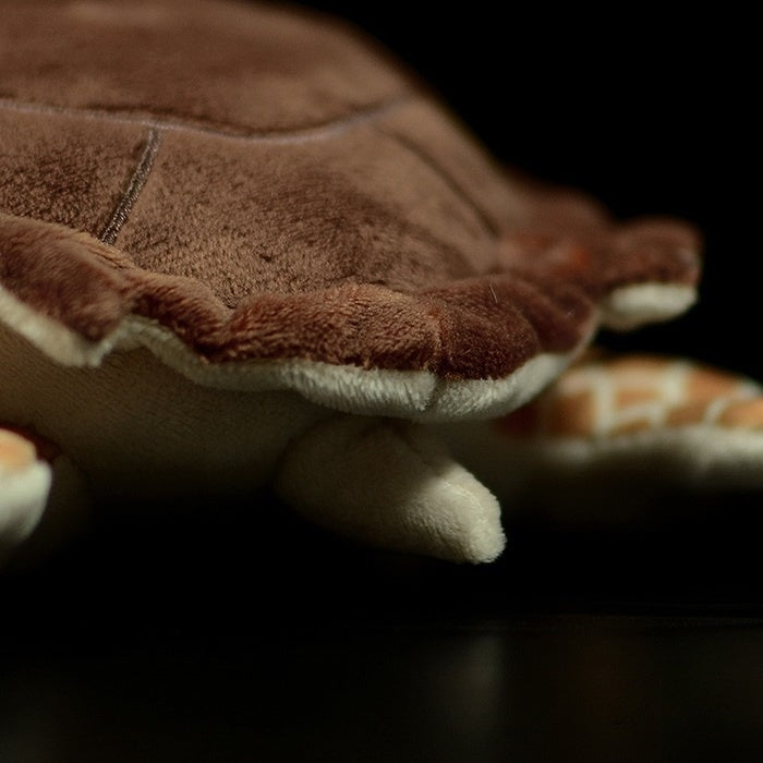 Rear view of the Hawksbill sea turtle plush toy, highlighting its soft shell and flipper design