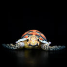 Front-facing Hawksbill Sea Turtle plush with realistic amber shell and lifelike facial details by SoftDaysLab