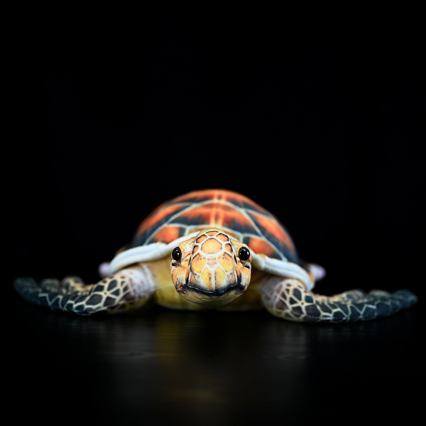 Front-facing Hawksbill Sea Turtle plush with realistic amber shell and lifelike facial details by SoftDaysLab