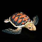 Realistic Hawksbill Sea Turtle plush in a resting position, featuring lifelike shell patterns and textures