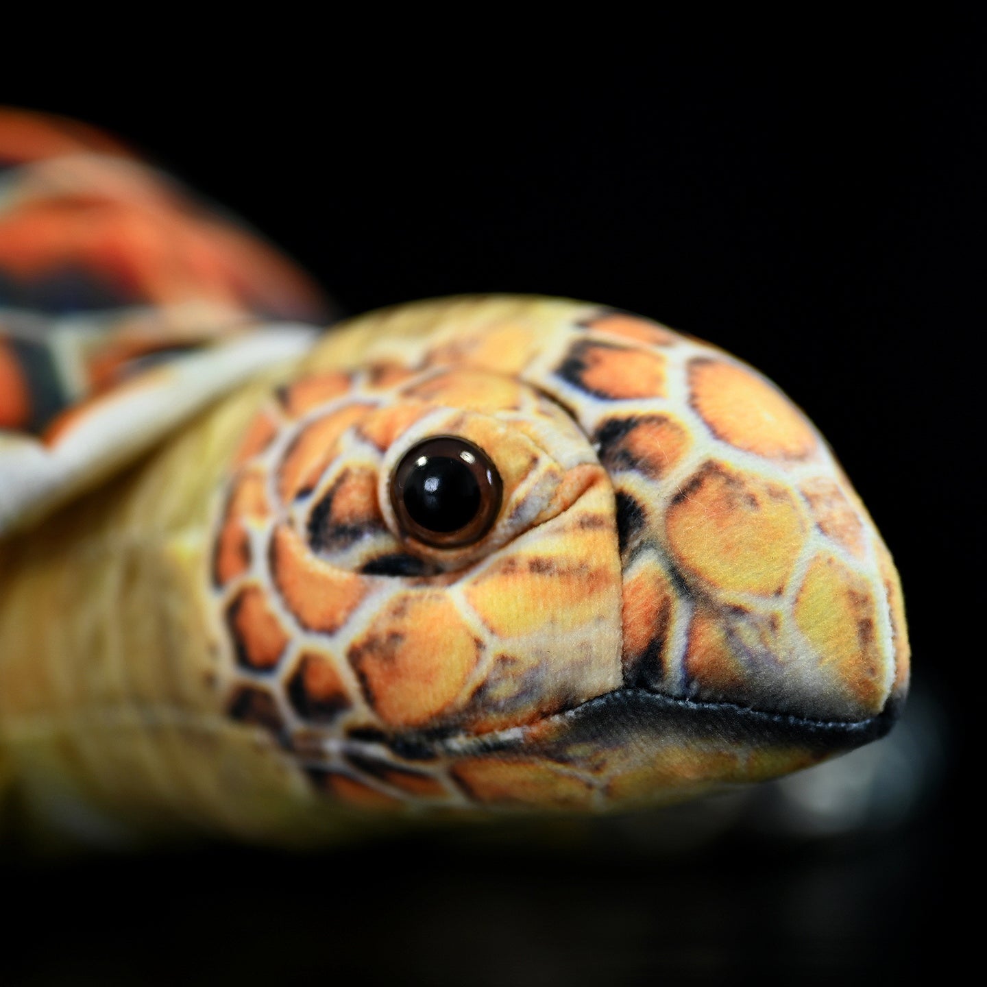 Close-up of Hawksbill Sea Turtle plush head, showcasing detailed amber patterns and lifelike eye design