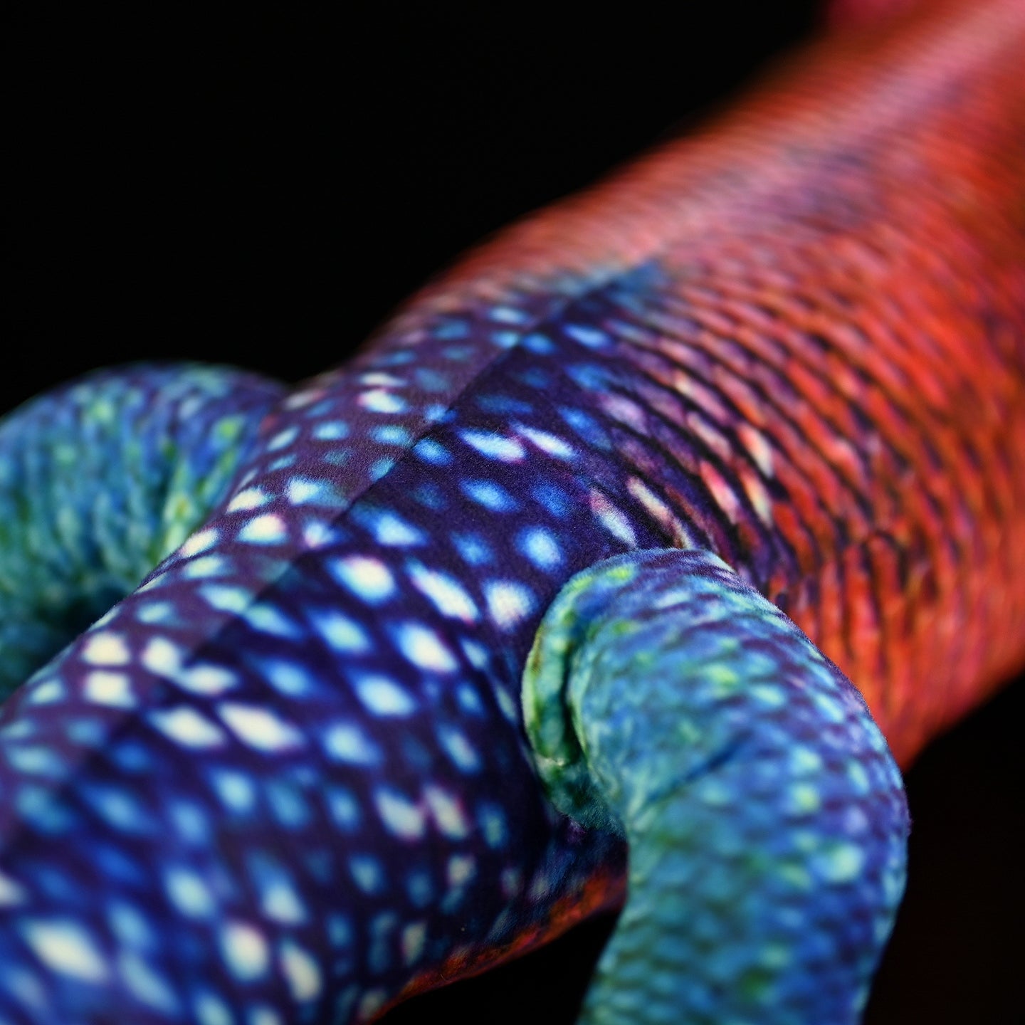 Close-up of the vibrant scales on a Spider-Man Agama plush, featuring lifelike red, blue, and green details