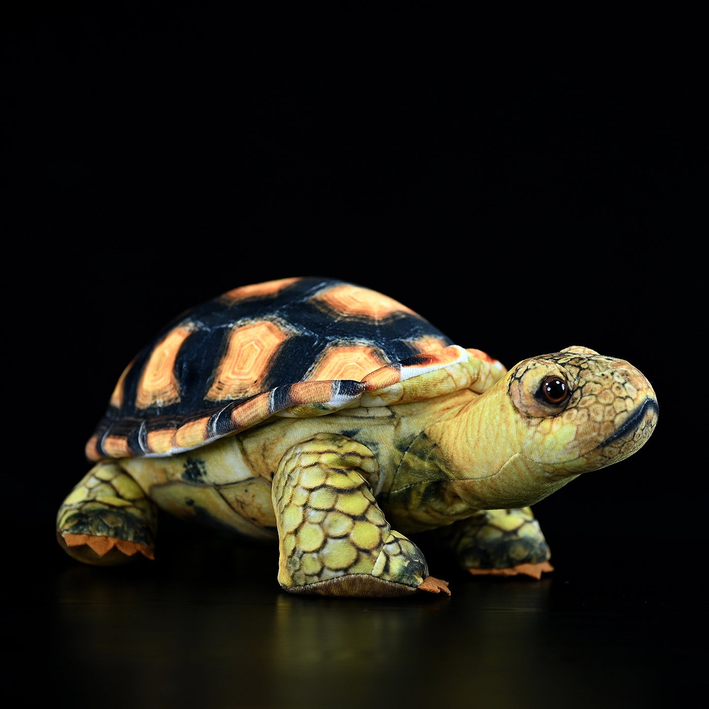 Realistic Sulcata Tortoise plush by SoftDaysLab, featuring vibrant shell patterns and lifelike details