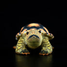 Front view of Sulcata Tortoise plush with detailed shell and lifelike design, perfect for turtle enthusiasts
