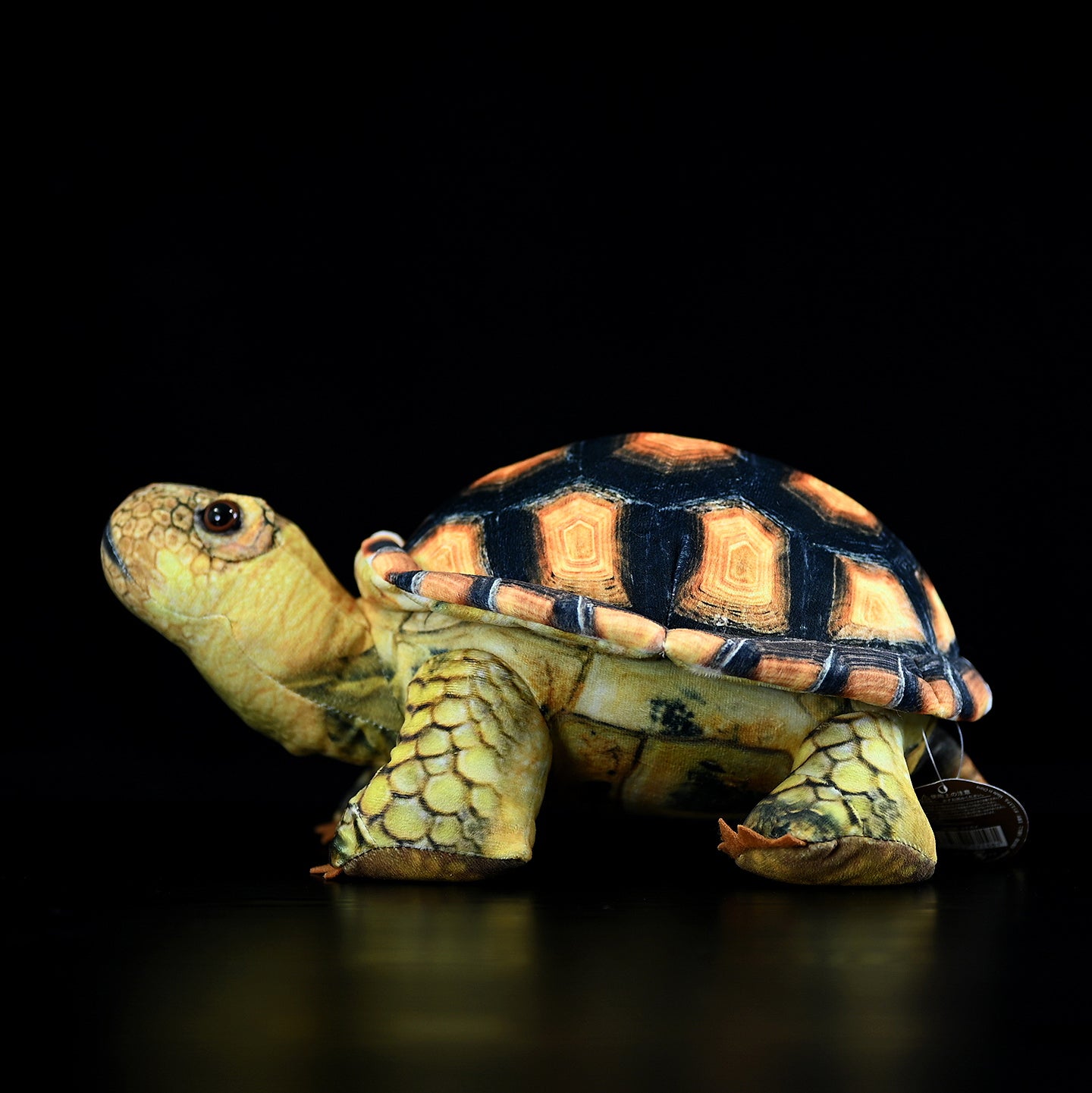 Side view of a lifelike Sulcata Tortoise plush showcasing realistic patterns and textures for turtle lovers
