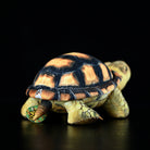 Back view of Sulcata Tortoise plush highlighting its vibrant shell, ideal for those passionate about tortoises