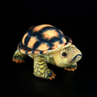 Full-body view of the Sulcata Tortoise plush by SoftDaysLab, designed with realistic details and vibrant colors