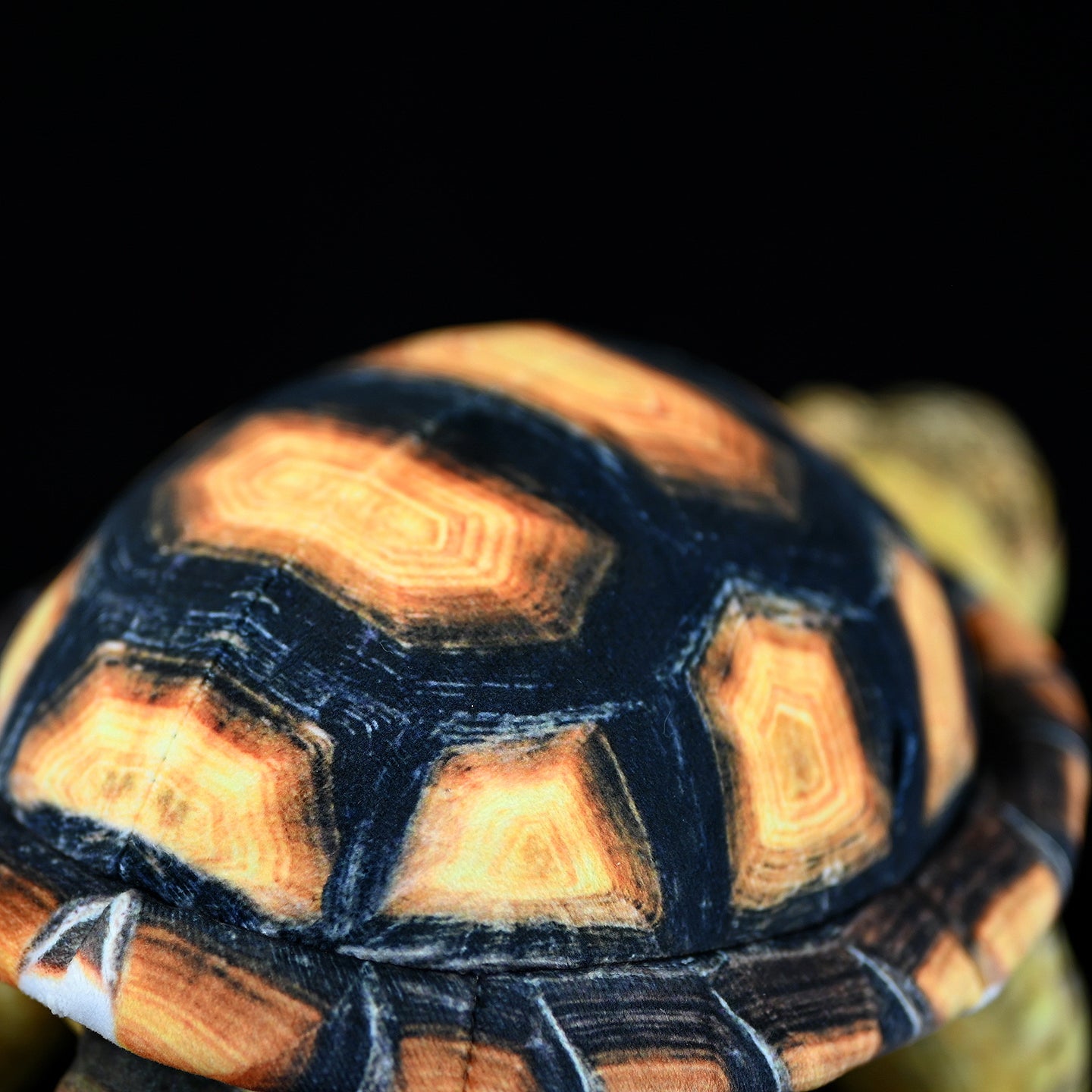 Detailed close-up of Sulcata Tortoise plush shell with realistic textures and vibrant patterns