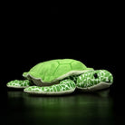 Lifelike green sea turtle plush showing its soft green shell and realistic details
