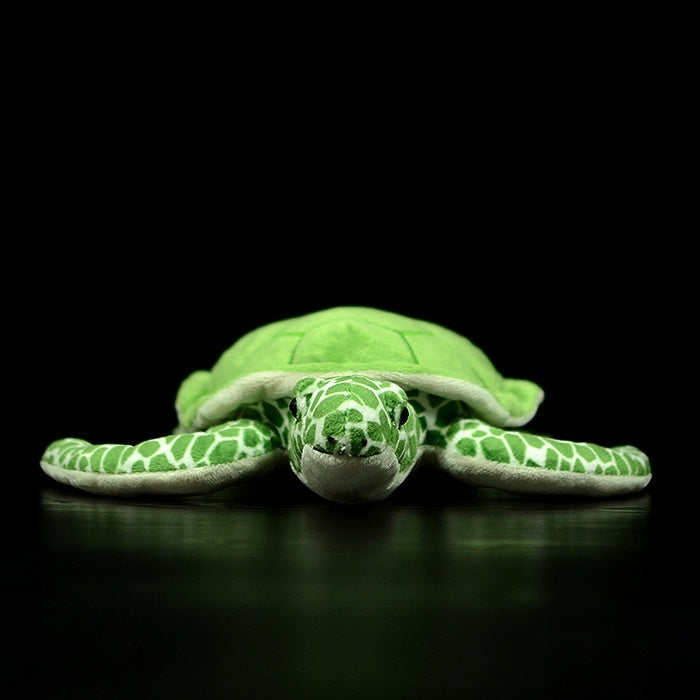 Front view of the green sea turtle plush, displaying its lifelike features and cuddly design