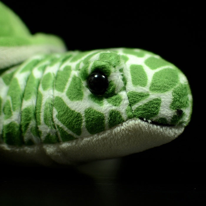 Close-up of the green sea turtle plush’s face, showing its detailed stitching and adorable design