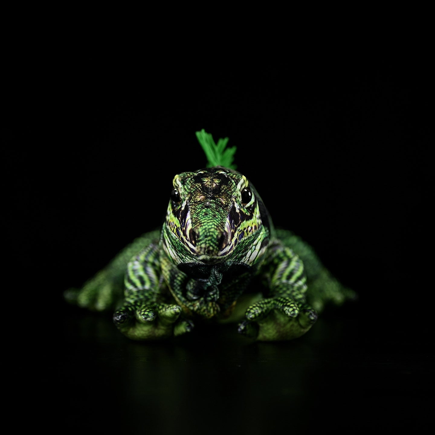 Front view of a green iguana plush, showcasing its expressive face and lifelike colors