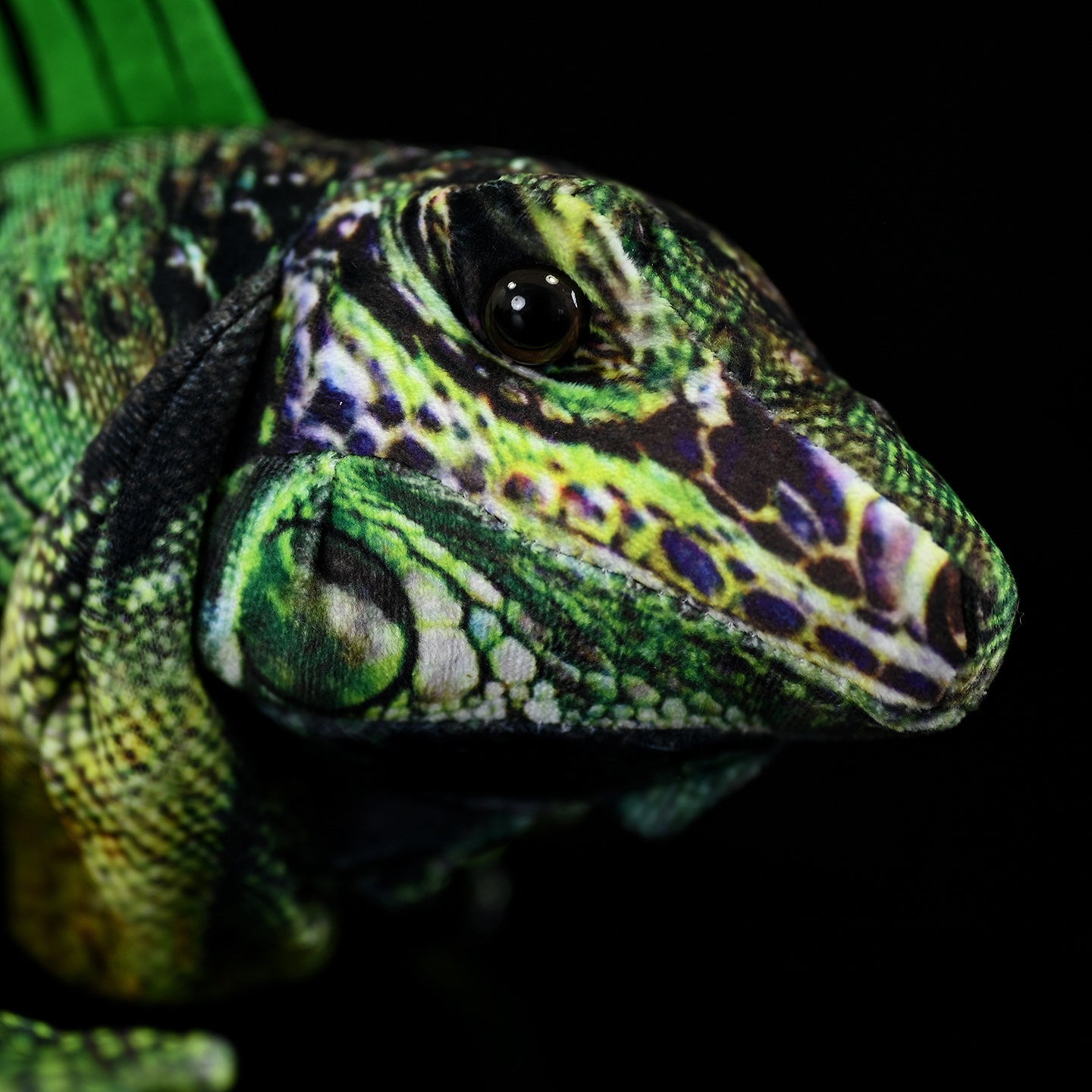 Close-up of the green iguana plush's face, highlighting its lifelike eye and detailed textures