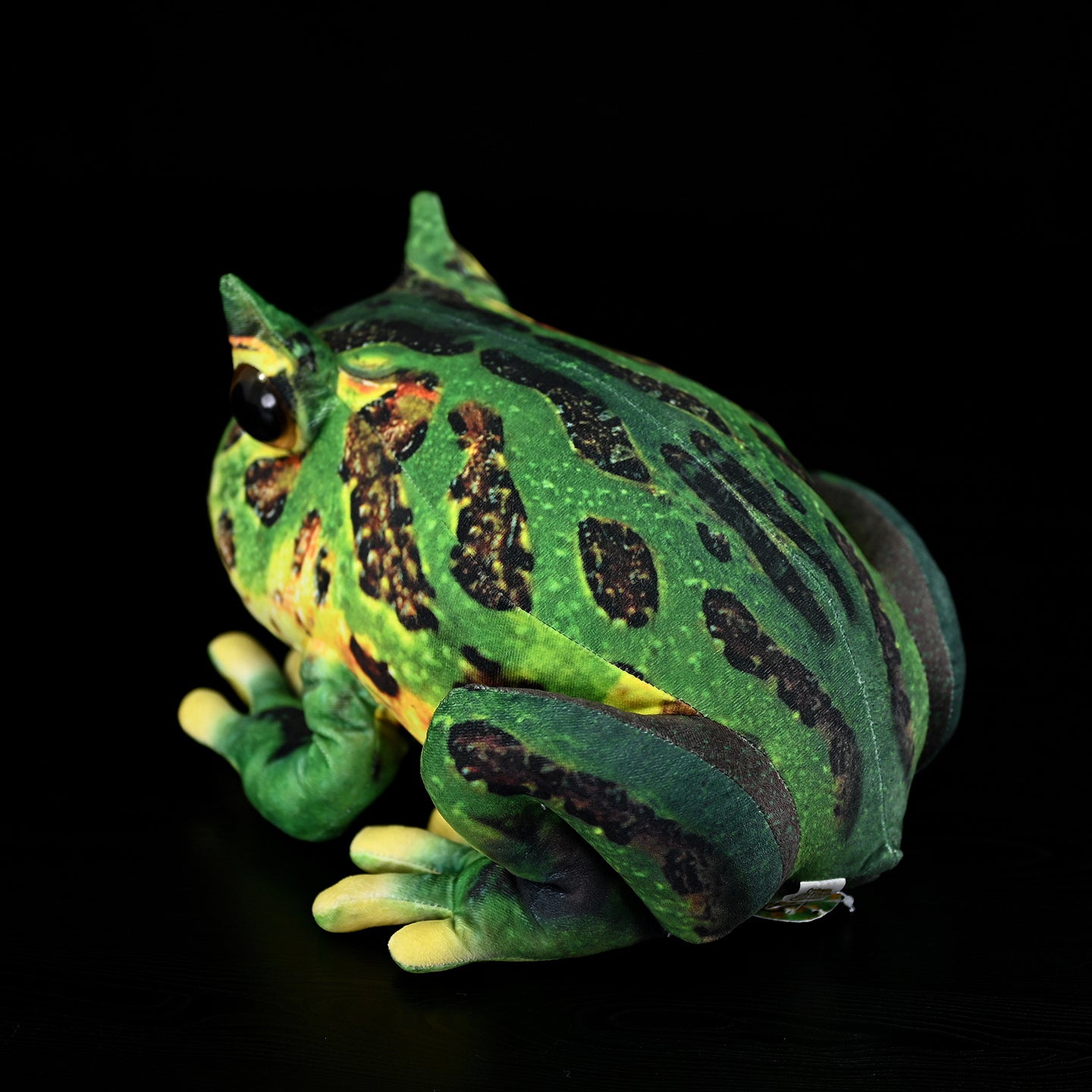 Back view of Pacman Frog Plush by SoftDaysLab, capturing the intricate markings of the Argentine horned frog