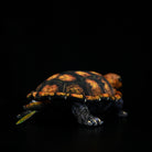 Rear view of a Japanese pond turtle plush, highlighting its realistic shell texture and intricate craftsmanship