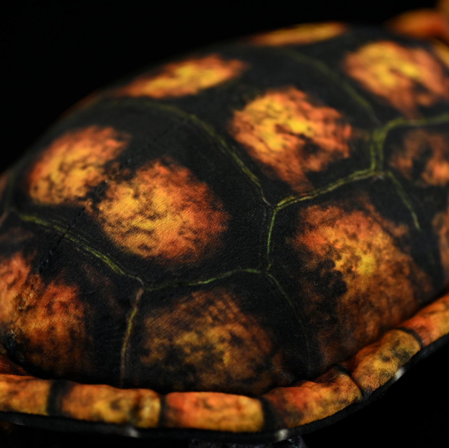 Close-up of realistic Japanese pond turtle plush shell, showcasing vibrant orange and brown pattern details