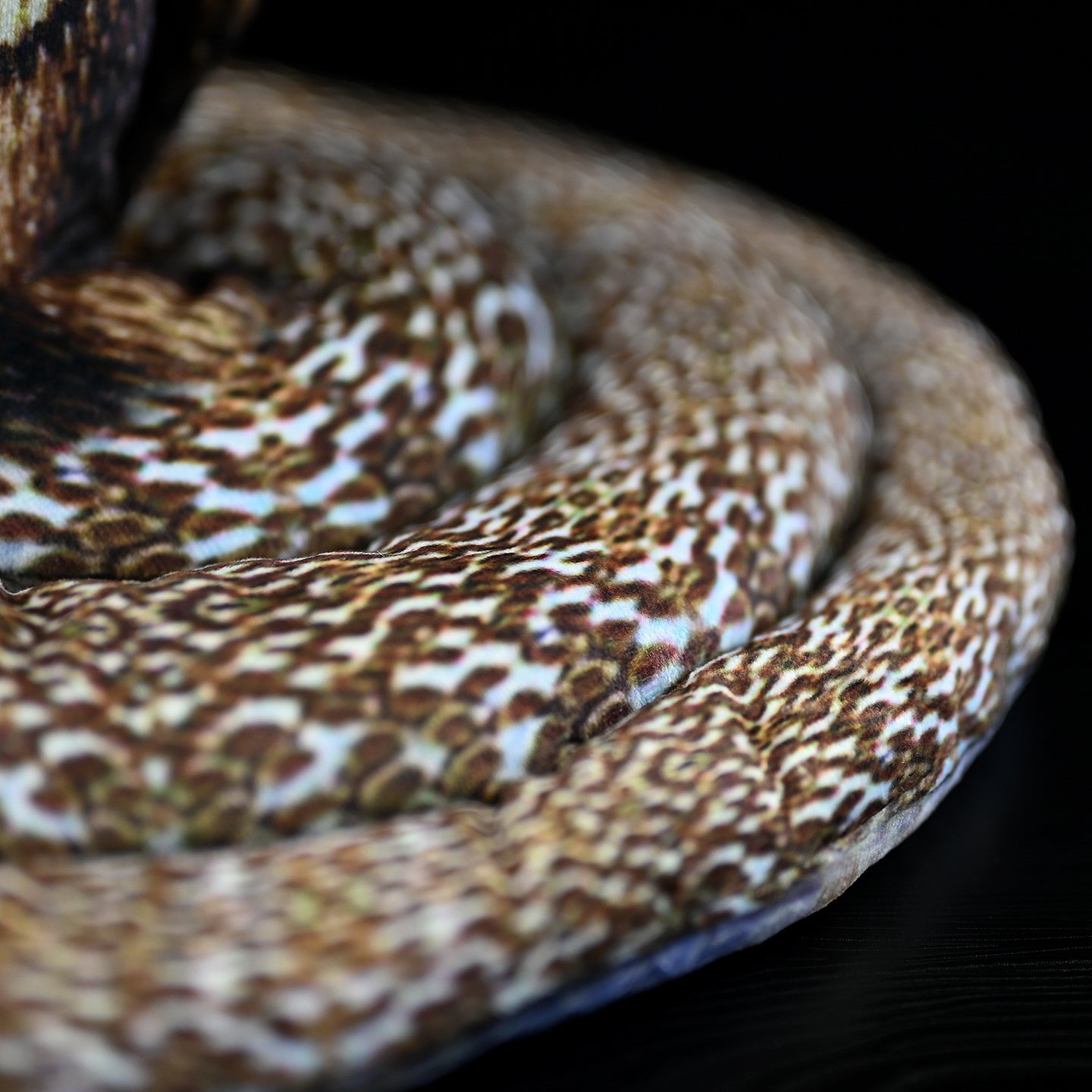 Detailed view of the coiled body of the monocled cobra plush toy, showcasing its textured and lifelike design