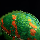 Macro shot of the veiled chameleon plush’s textured back, showcasing intricate scale-like details