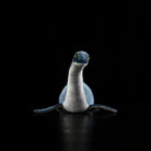 Front view of SoftDaysLab® long-necked plesiosaur plush, perfect for dinosaur and Jurassic fans