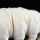 Lifelike Tardigrade Plush – Adorable Soft Stuffed Water Bear Toy