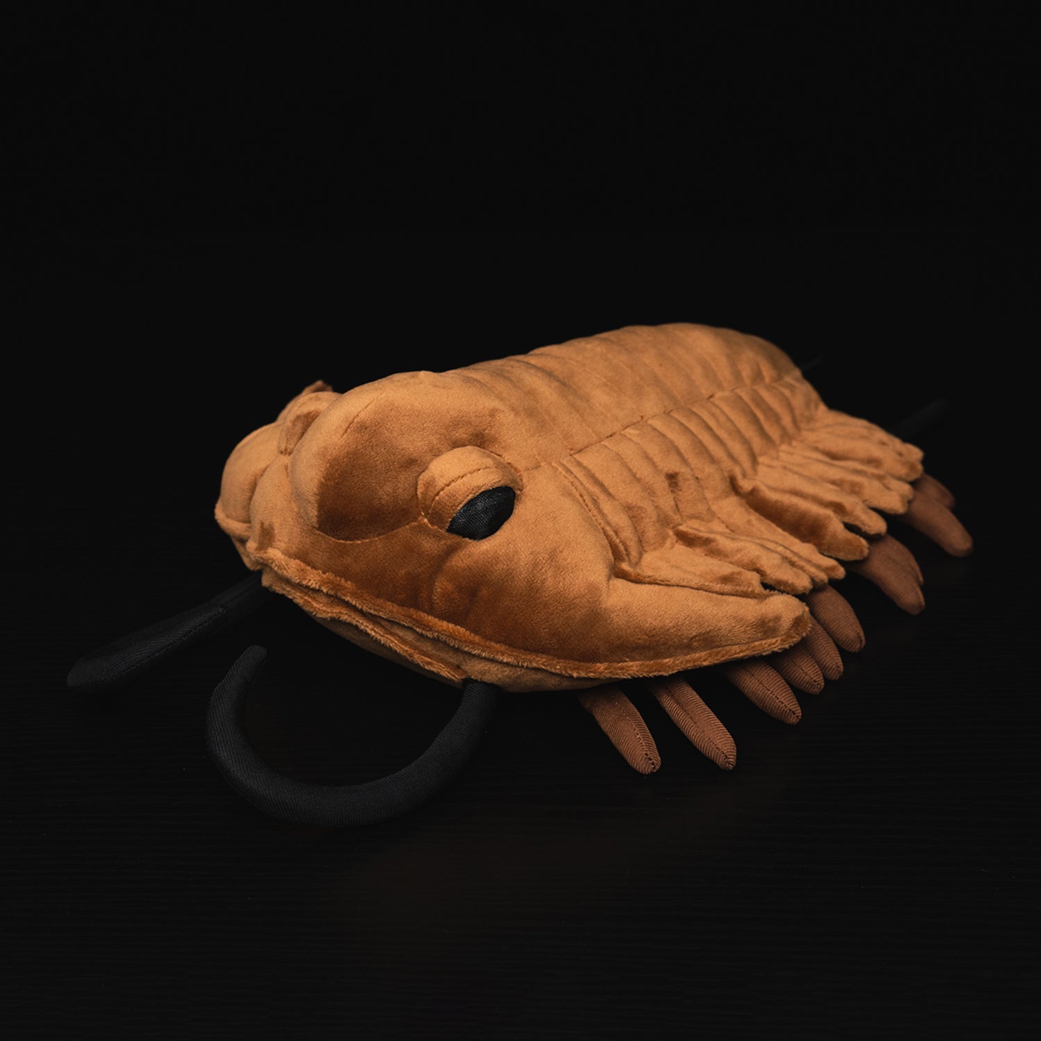 Angled view of Redlichiida trilobite plush toy highlighting its segmented body and legs by SoftDaysLab