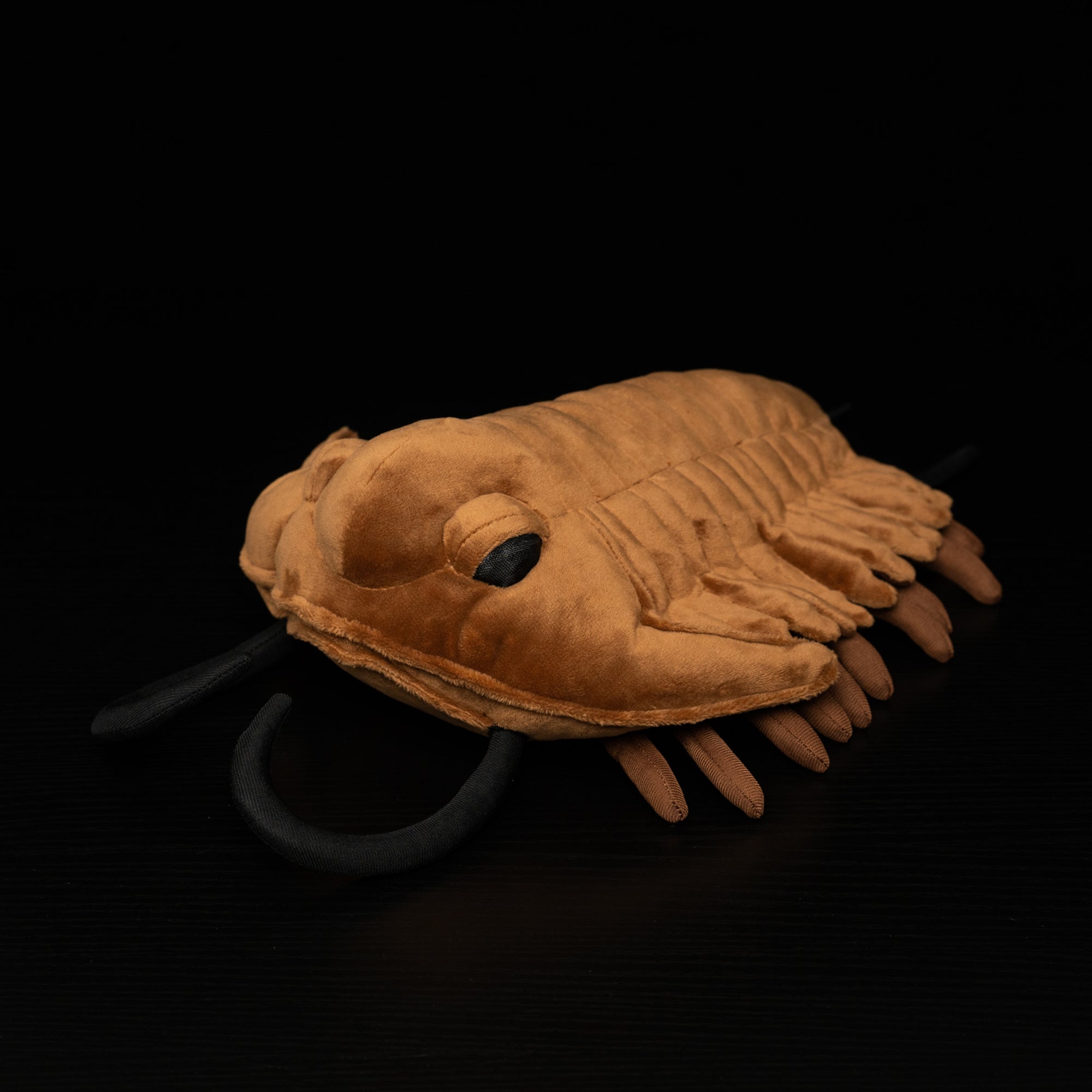 Angled view of Redlichiida trilobite plush toy highlighting its segmented body and legs by SoftDaysLab